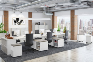 1. Ambiente Flo