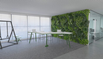 1. Ambiente Anatra