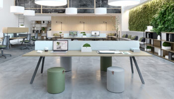 1. Ambiente Opus