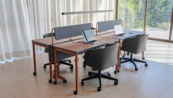 17. Ambiente Sinergia