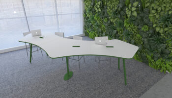 2. Ambiente Anatra