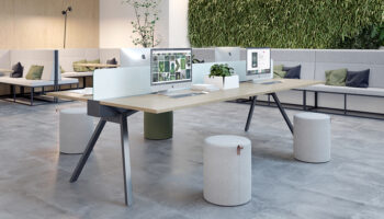 2. Ambiente Opus