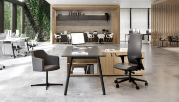 2. Ambiente Trevi