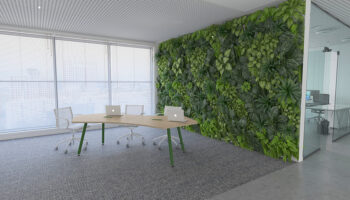 3. Ambiente Anatra
