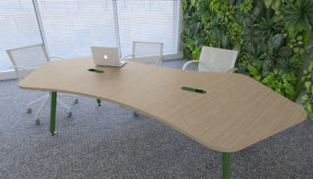 4. Ambiente Anatra
