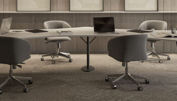 5. Ambiente Anatra