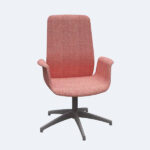 LOTUS RESIDENCIAL OMEGA ALTA principal