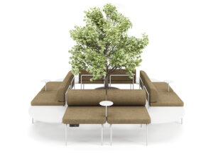 1. Ambiente Rizo