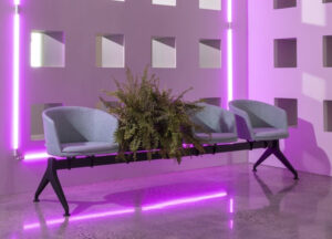 2. Ambiente Pixel